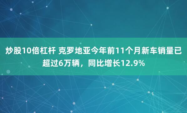 炒股10倍杠杆 克罗地亚今年前11个月新车销量已超过6万辆，同比增长12.9%