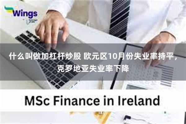 什么叫做加杠杆炒股 欧元区10月份失业率持平，克罗地亚失业率下降