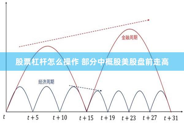 股票杠杆怎么操作 部分中概股美股盘前走高