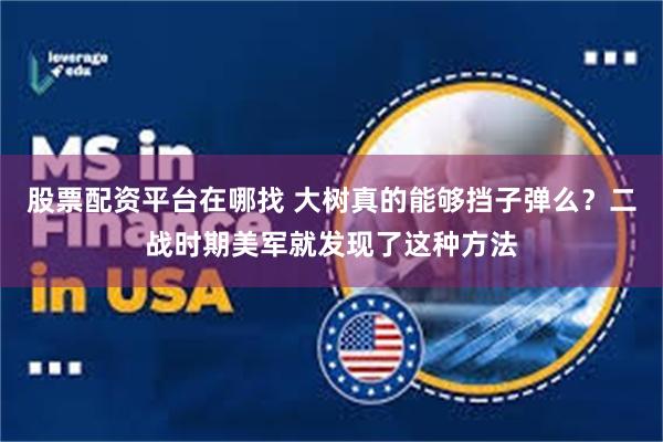 股票配资平台在哪找 大树真的能够挡子弹么？二战时期美军就发现了这种方法
