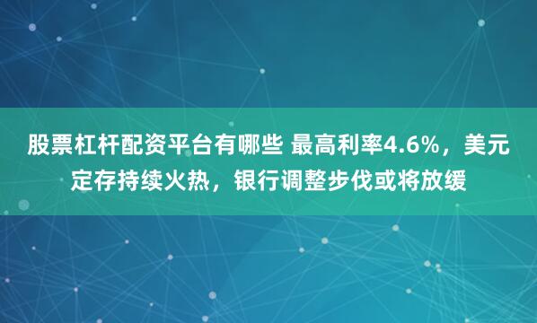 股票杠杆配资平台有哪些 最高利率4.6%，美元定存持续火热，银行调整步伐或将放缓