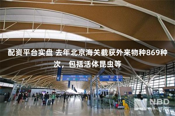 配资平台实盘 去年北京海关截获外来物种869种次，包括活体昆虫等
