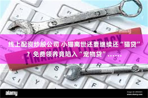 线上配资炒股公司 小猫离世还要继续还“猫贷”？免费领养竟陷入“宠物贷”……