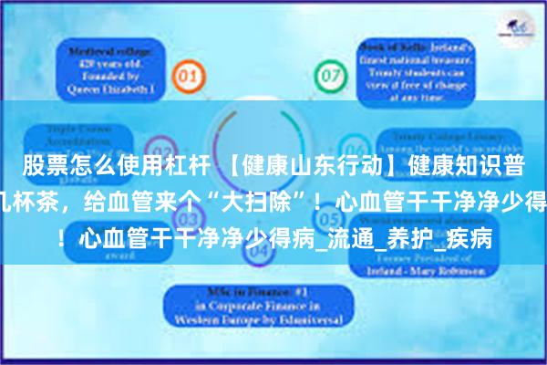 股票怎么使用杠杆 【健康山东行动】健康知识普及行动｜中医送您几杯茶，给血管来个“大扫除”！心血管干干净净少得病_流通_养护_疾病