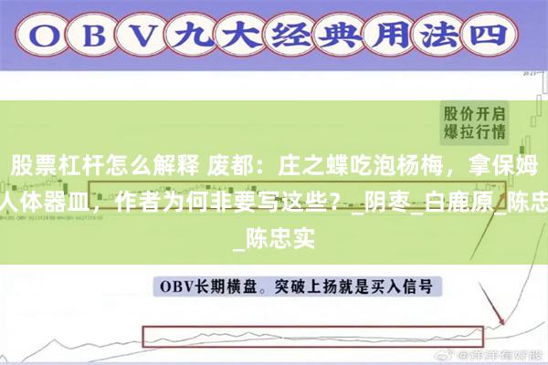 股票杠杆怎么解释 废都：庄之蝶吃泡杨梅，拿保姆当人体器皿，作者为何非要写这些？_阴枣_白鹿原_陈忠实