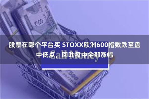 股票在哪个平台买 STOXX欧洲600指数跌至盘中低点，回吐盘中全部涨幅