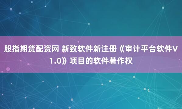 股指期货配资网 新致软件新注册《审计平台软件V1.0》项目的软件著作权