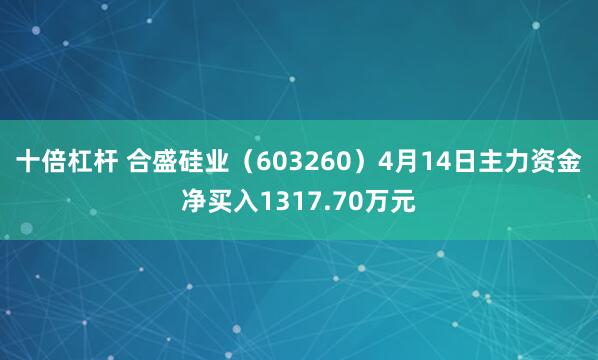 十倍杠杆 合盛硅业（603260）4月14日主力资金净买入1317.70万元