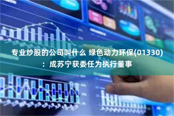 专业炒股的公司叫什么 绿色动力环保(01330)：成苏宁获委任为执行董事