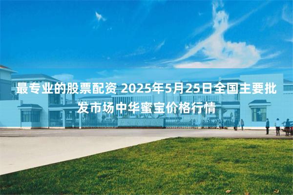 最专业的股票配资 2025年5月25日全国主要批发市场中华蜜宝价格行情