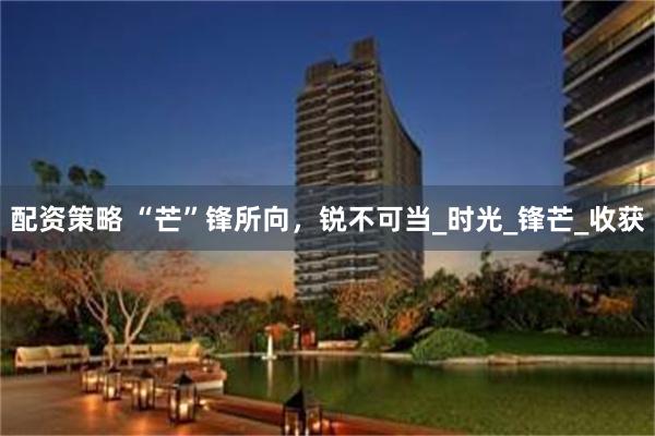 配资策略 “芒”锋所向，锐不可当_时光_锋芒_收获
