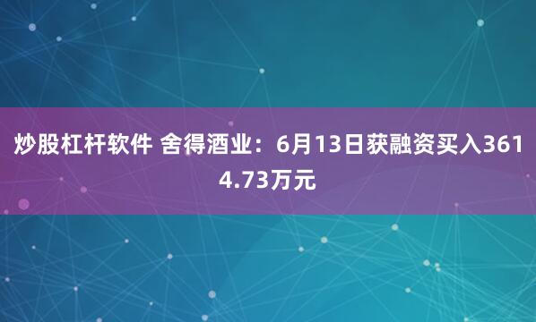 炒股杠杆软件 舍得酒业：6月13日获融资买入3614.73万元
