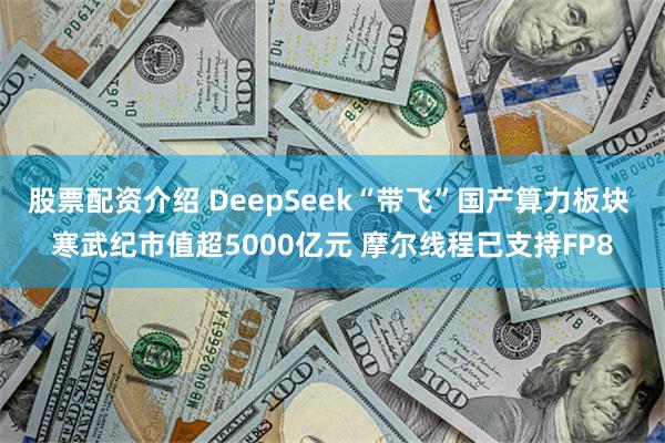 股票配资介绍 DeepSeek“带飞”国产算力板块 寒武纪市值超5000亿元 摩尔线程已支持FP8