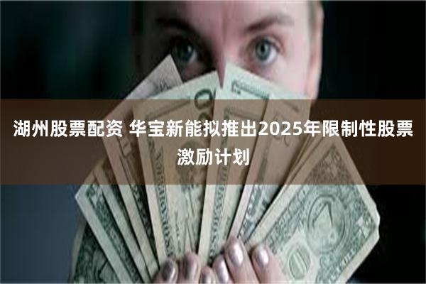 湖州股票配资 华宝新能拟推出2025年限制性股票激励计划