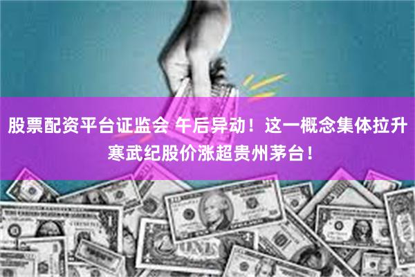 股票配资平台证监会 午后异动！这一概念集体拉升 寒武纪股价涨超贵州茅台！