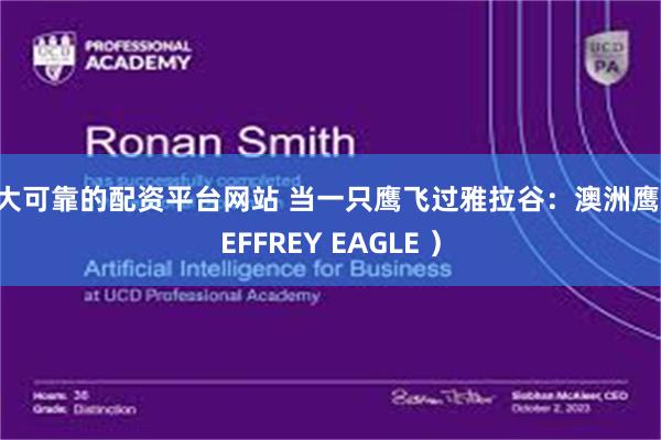 十大可靠的配资平台网站 当一只鹰飞过雅拉谷:澳洲鹰(JEFFREY EAGLE )